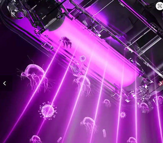 Aspiradora Ácaros Premium UV